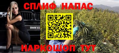 spice Будённовск